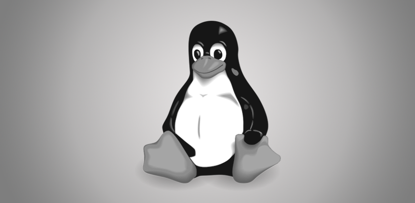 SaM Solutions als Partner bei der Erweiterung von Linux-Kenntnissen