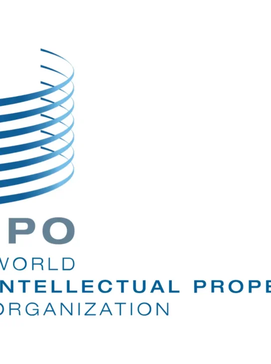 Bereitstellung der Verwaltung der Internationalen Patentklassifikation für die WIPO als Online-Managed-Service