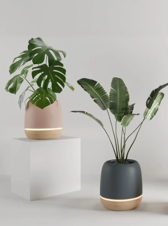 KORU – IoT-fähiger intelligenter Blumentopf und Luftreiniger für Zuhause und den Arbeitsplatz